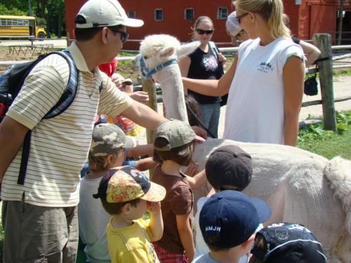 Kids-petting-Benjamin-Alpaca